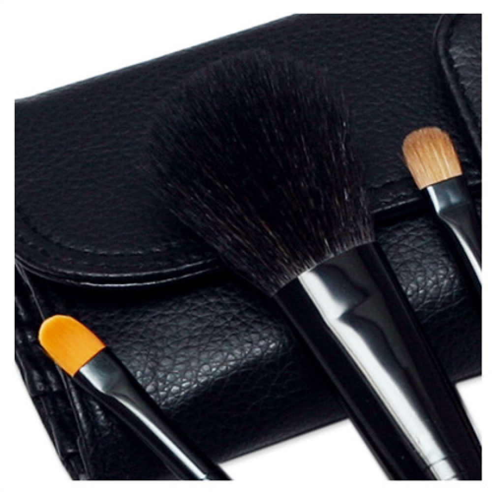 Professional prestige brush set