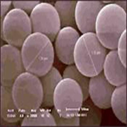 Dental Materials (DM)