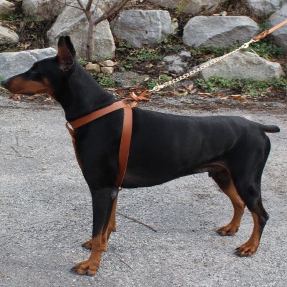 Twist leather harness I type(Big dog)