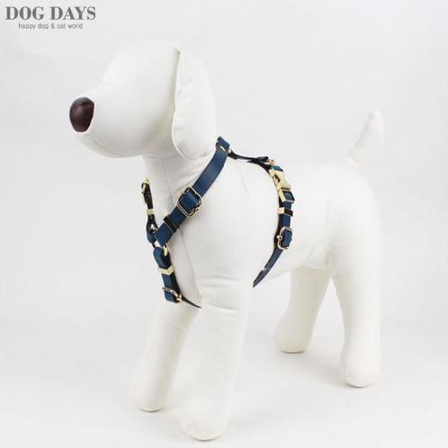 Retro leather gold harness(Blue)