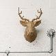 detail image1 stag head figuration