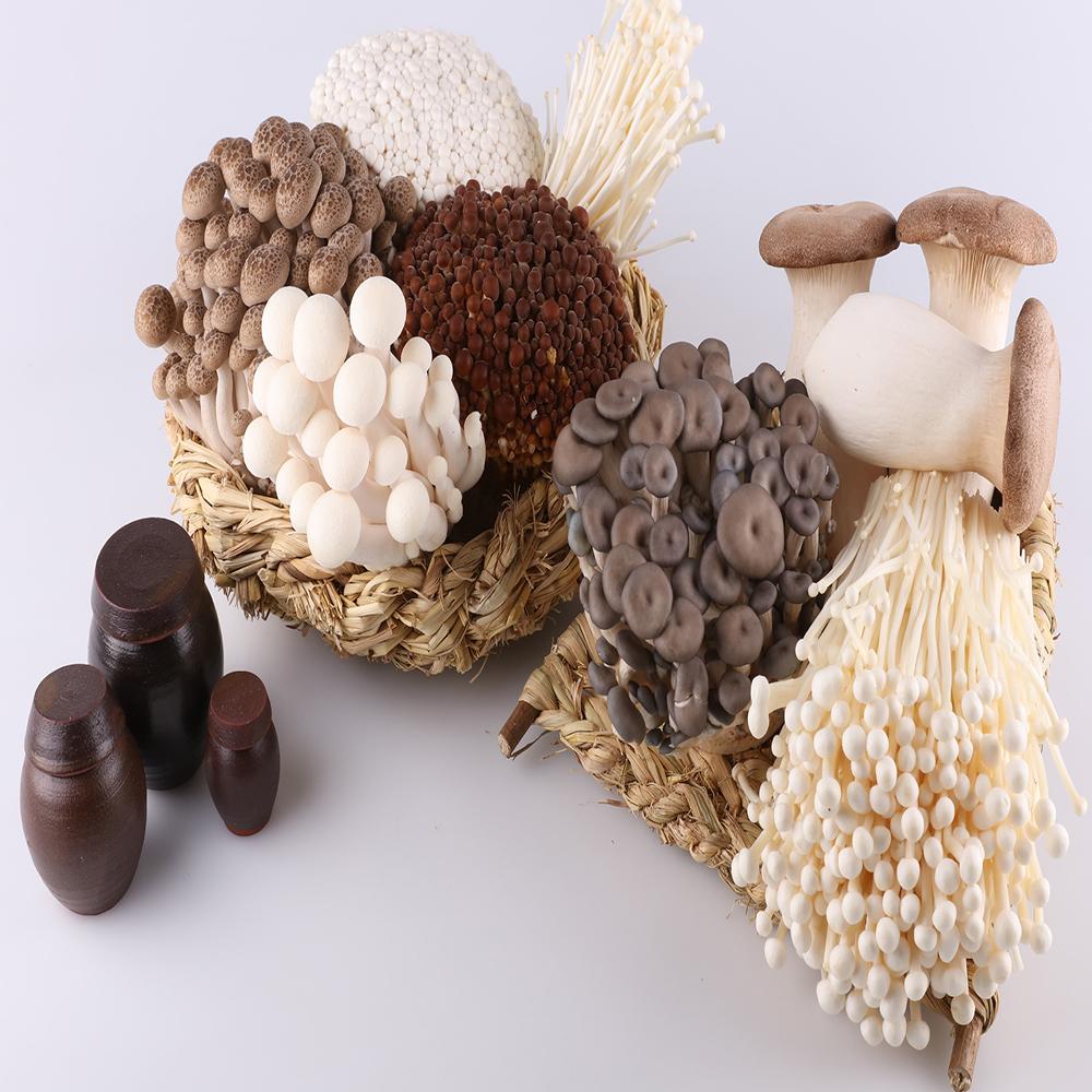 ENOKI FRESH MUSHROOM