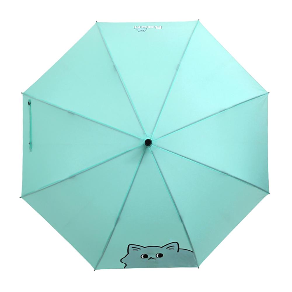 Raon 62nd Umbrella (Laon Mint)