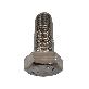 detail image4 25Qty 1/2*1" UNC13   HEX TAP BOLT SCREW