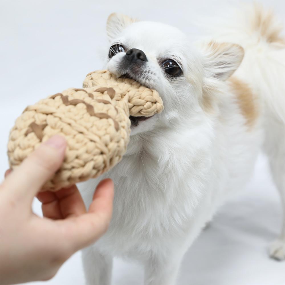 Bungeoppang Catch Toy