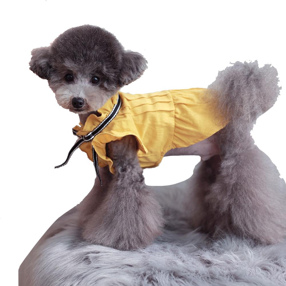 Tint Frill blouses (Yellow / S size)