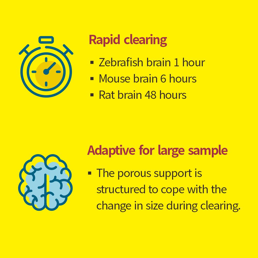 Binaree Tissue Clearing Rapid Mounting Solution