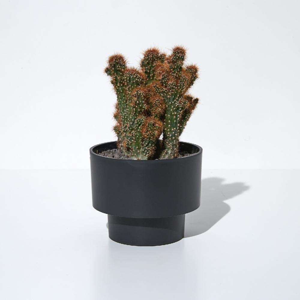 Pot Copenhagen Midnight