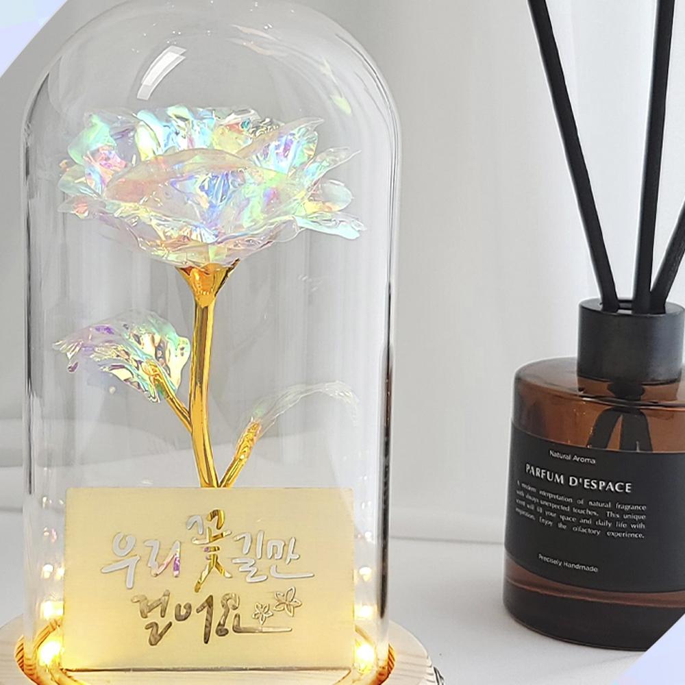 LED flower road Aurora rose glass dome mood light lover's gift