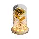 full image LED Gold Rose Glass Dome Mood Lamp Colorful Rose