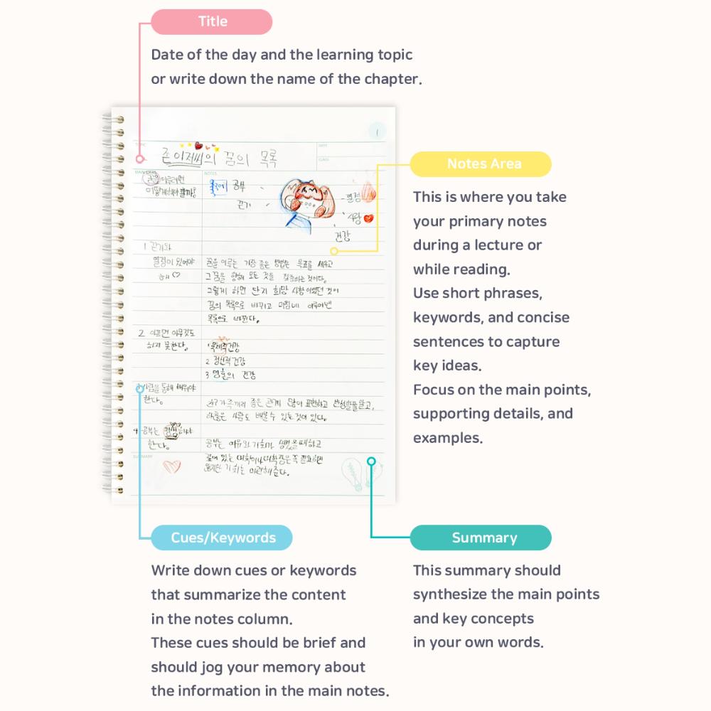 Cornell notes notebook/ Cornell Style Spiral Notebook / 50 Sheets (100 Pages), 7.17" x 10.12"(B5), B