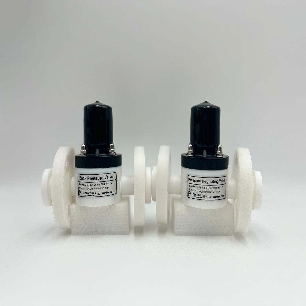 Back Pressure Valve