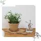 detail image1 Freefactory Flower Plant Pot with Drainage Holes and Saucer Tray(Extra Large/Moss Green)