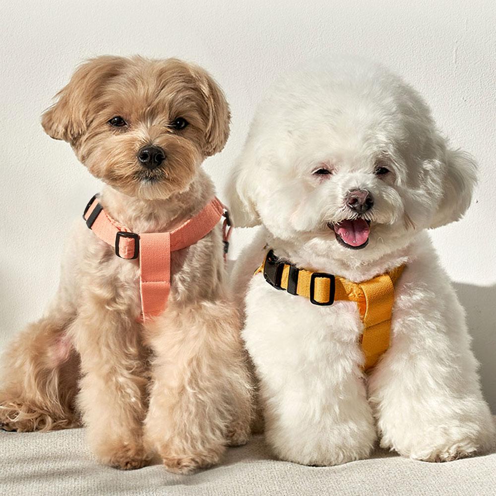 Notouch Harness Band