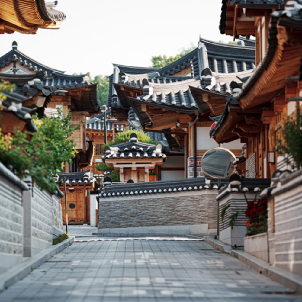 Dream of Me –  Premium medical & wellness tourism package